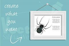 Spider for Halloween - A Halloween Design for Crafters Product Image 4