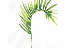 Palm leaves watercolor clip art pack, tropical leafs collection. Png, jpg, svg, vector illustrator &amp; corel files included, instant download Product Image 2