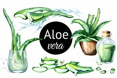 Aloe Vera Product Image 1