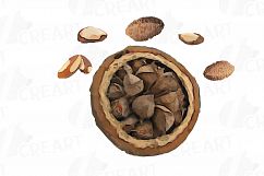 Nuts clip art pack, Watercolor nuts chart, food print Product Image 5