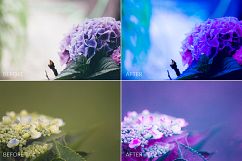 Dreamy Colors Lr Presets Product Image 5