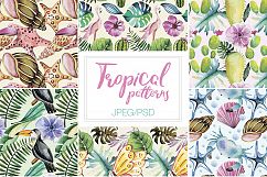Watercolor Tropical Patterns Product Image 4