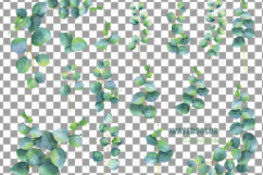 Eucalyptus leaves and branches watercolor clip art pack, Eucalyptus design elements. PNG, jpg, svg, vector illustrator &amp; corel files included Product Image 4