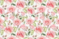 Hand drawn watercolor roses Product Image 5