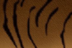Tiger Abstract Background Product Image 6