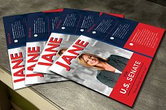 Political Flyer Photoshop, Word, Publisher Template 3 Product Image 4