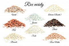 Rice. Watercolor collection Product Image 2