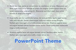 Avid Traveler PowerPoint Template Product Image 11