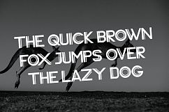 Vardy Display Typeface Product Image 5
