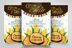 Festa Junina Flyer Product Image 1