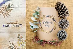 Brake plants PNG watercolor set Product Image 4
