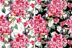 Hand Drawn Watercolor 15 Patterns Product Image 7