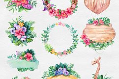 Tropical. Watercolor illustrations. Product Image 12