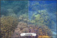 Vacation Photos Fix profiles LR 7.3 ACR 10.3 Product Image 21
