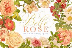 Belle Rose Antique Graphics Bundle Product Image 1