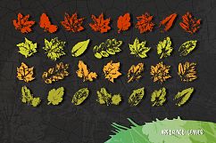 Autumn collection Product Image 2