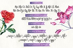 Reebiolla Brush Font Product Image 6