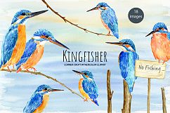 Bird Kingfisher Clipart, Watercolor Illustration  Product Image 1