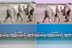 Africa Lr Presets Product Image 8