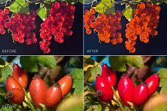 Berries Lr Presets Product Image 4