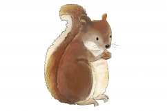 Magical Woodland -11 illustrations|animals and elements Product Image 8