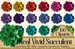 100 Real Vivid Succulent Clip Arts, Botanical Kit Garden Product Image 1