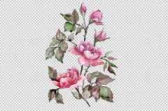 Elegant bouquet of pink rose PNG watercolor set Product Image 2