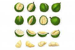 Durian icons set, cartoon style Product Image 1