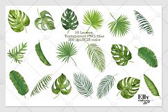 Tropical Leaves Product Image 3