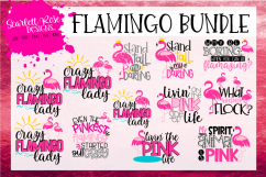 Flamingo Bundle - Summer SVG Product Image 1