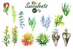 Watercolor Succulents Clip Art Set Product Image 3
