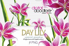 Day Lily Product Image 2