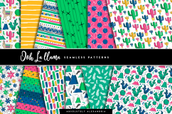 Ooh La llama Clipart Illustrations &amp; Seamless Digital Papers Product Image 2