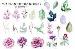 Watercolor roses. Set. Product Image 3