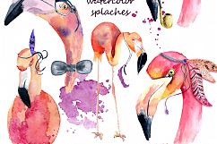 Boho flamingo Watercolor set Product Image 3