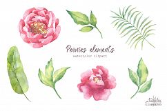 Watercolor Peonies set Product Image 3