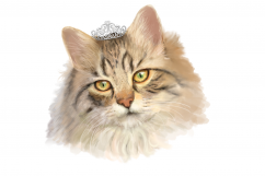 Lifelike &#039;Princess Cat with a Tiara&#039; | PNG/JPEG illustration Product Image 2