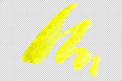 Flowers set PNG watercolor   Product Image 7