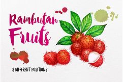 watercolor fruit vol.7 Product Image 8