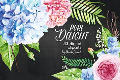 Flowers Watercolor Illustrations Product Image 2