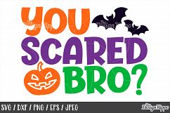 You scared bro SVG, Halloween, Kids, Boys, Pumpkin, Bats SVG Product Image 1