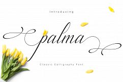 Palma Script Product Image 1