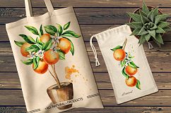 Natural Orange juice. Watercolor Product Image 9