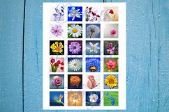 Flowers Printable, Floral Digital, Elegant, Minimalist Product Image 4