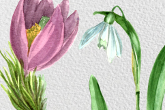 Watercolor Wild Flowers Collection Product Image 5