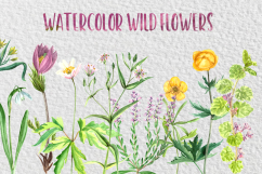 Watercolor Wild Flowers Collection Product Image 1