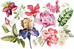 Beautiful watercolor flowers Product Image 2