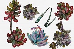 Succulents and Cacti Watercolor Clip Art Set Product Image 3