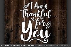 Thankful for You - Thanksgiving Svg Files - 6014 Product Image 3