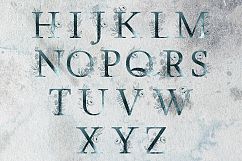 Collection Night Product Image 7